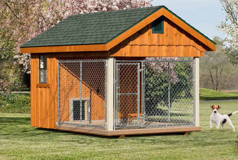 shed and dog kennel combo