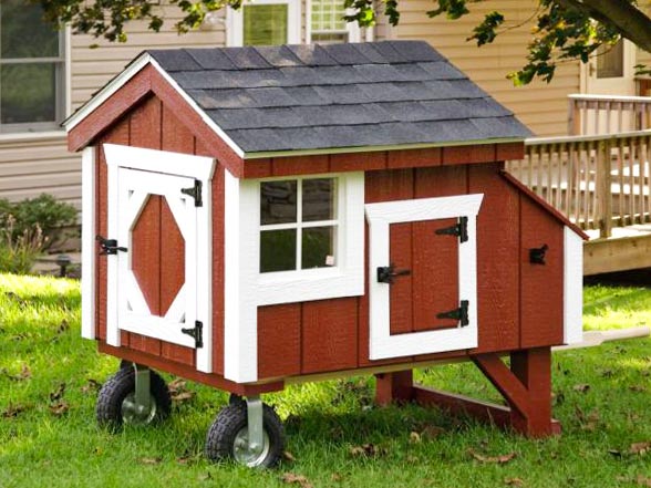 Red A-Frame chicken coop built by Adirondack Storage Barns