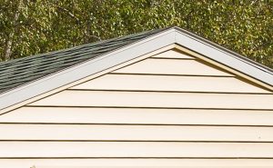 Vinyl Siding